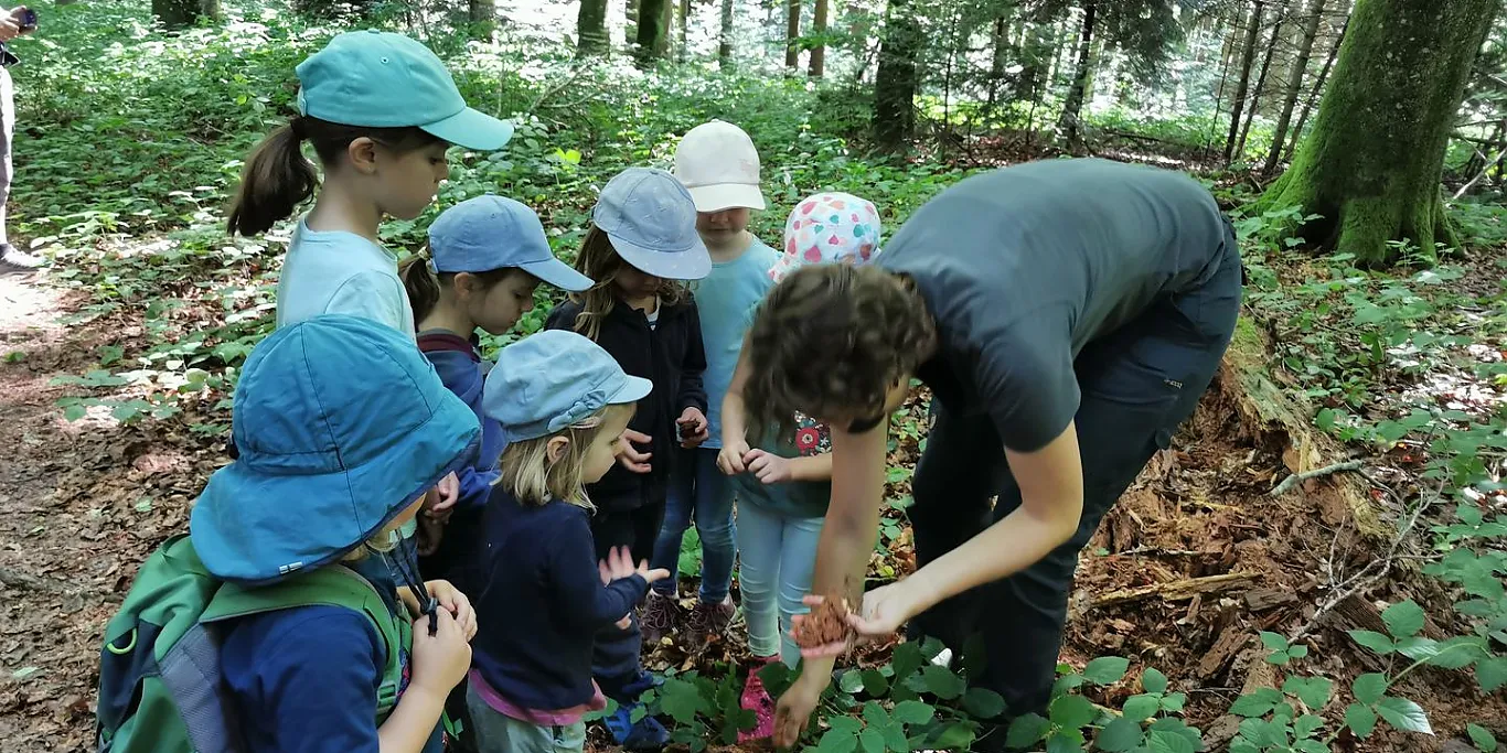 Mit gross und klein den Wald erleben